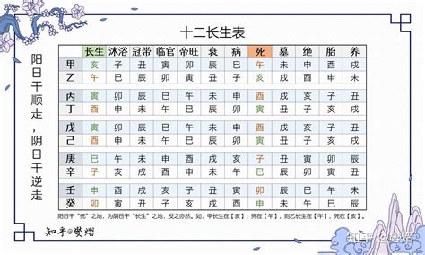 長生十二表|十二长生表、十二长生的含义与用法详解